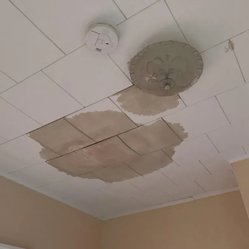 Ceiling Water Damage Repair in Pistakee Highlands, IL