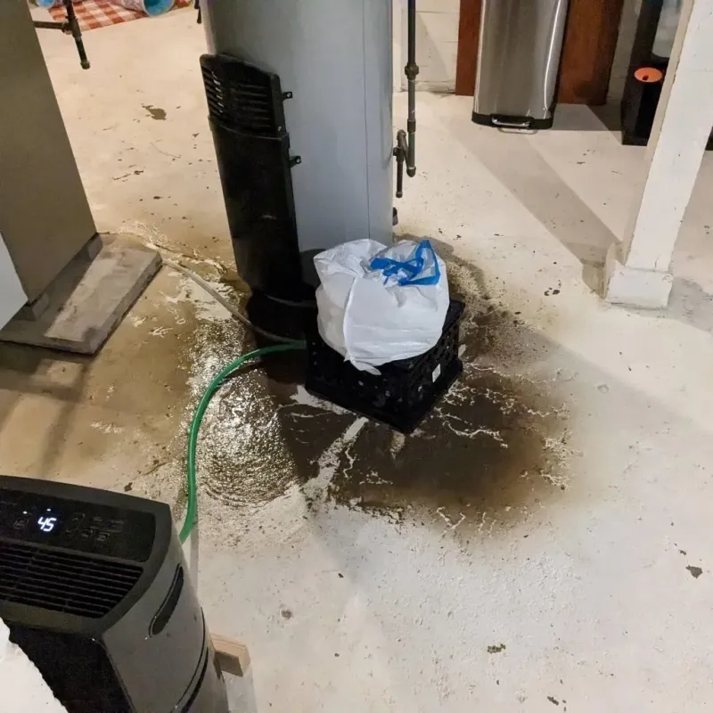 Sewage Backup Cleanup Service in Pistakee Highlands, IL